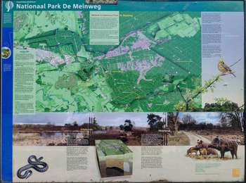 Randonnée A pied Roerdalen - Paardengatroute - Photo