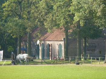 Tour Zu Fuß Geldrop-Mierlo - Strabrechtse Heide - Photo