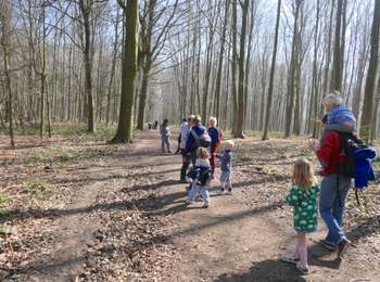 Trail Walking Braine-le-Comte - RF-BB-06 - Hennuyères - Grande Boucle - 2025-03-05 - Photo