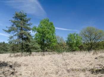 Randonnée A pied Roerdalen - Meinvennen - Photo
