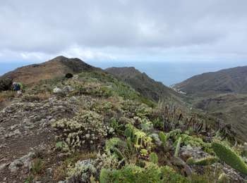 Tour Wandern Santa Cruz de Tenerife - Igueste - Punta de Antequera - Photo