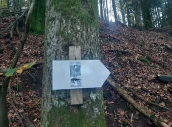 Excursión Bici de montaña Celles-sur-Plaine - sortie vtt du 24102019 celles sur plaine  - Photo