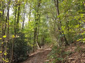 Trail Walking Trooz - Trooz - Blindef - Louveigné  - Photo