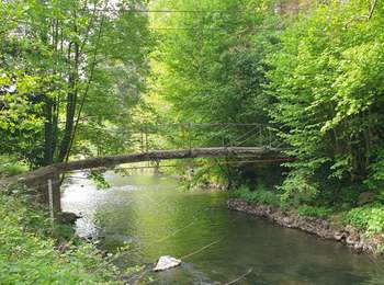 Trail On foot Ham-sur-Heure-Nalinnes - Promenade de Jamioulx - Photo