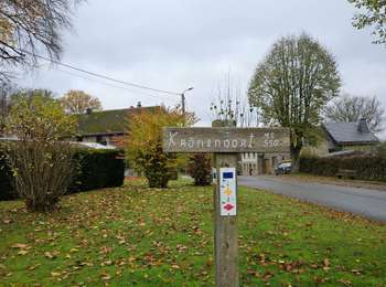 Trail Walking Bütgenbach - A la découverte de Weywertz 🥾 - Photo