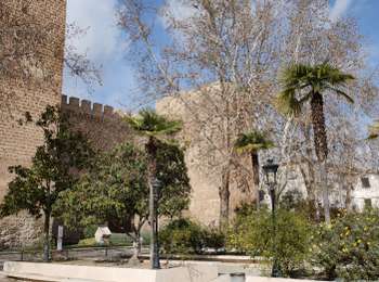 Tocht Moto-cross Almuñécar - Priego de Córdoba  - Photo