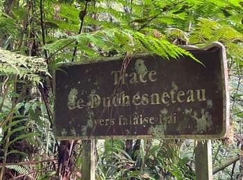 Trail Walking Le Marigot - Palourde-Trou Matelots - Photo