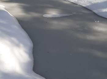 Trail Snowshoes Morbier - Les Marais 20210321 - Photo