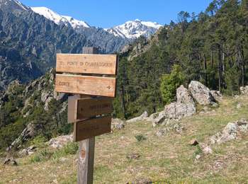 Trail Walking Corte - Entre Tavignano et Restonica - Photo