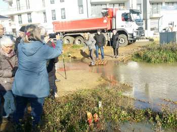 Randonnée Marche Maurepas - marche du 7 novembre 2019 - Photo
