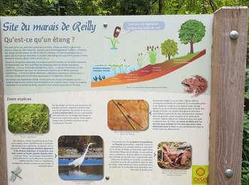Tocht Stappen Delincourt - Delincourt, Le Mesnil, Reilly, La vierge, Delincourt - Photo