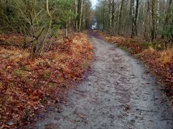 Trail Nordic walking Saint-Ghislain - Long Boule 2 - Photo