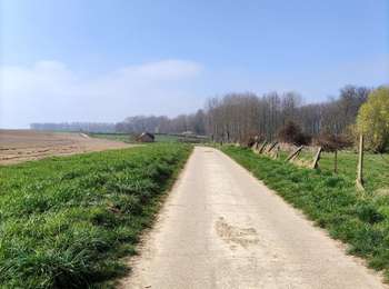 Tocht Stappen Tongeren - Promenade de la beauté cachée à Lauw  - Photo