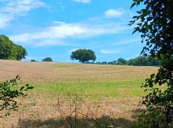 Trail Walking Esneux - mery . hayen . hautgne . betgne . fontain . avionpuits . mery - Photo