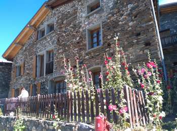 Excursión Bici eléctrica Les Deux Alpes - plateau d'Emparis  - Photo