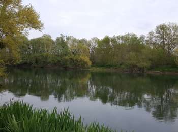 Trail Walking Courlon-sur-Yonne - 01 mai 21 - Photo