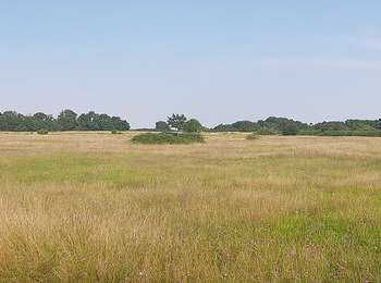 Randonnée A pied Maastricht - 1.Fort Saint-Pierre: Rectangle Vert - Photo