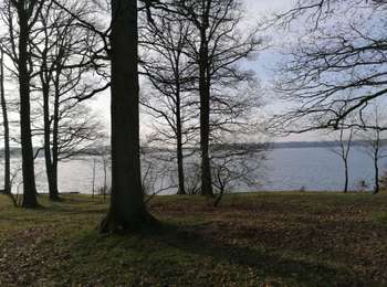 Trail Mountain bike Froidchapelle - Tour du lac de la Plate Taille - Photo