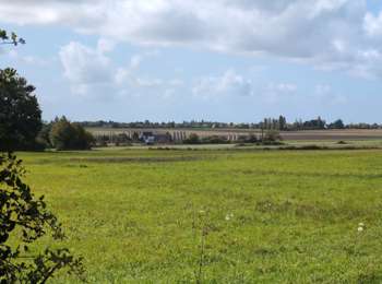 Randonnée Marche Luynes - Luynes la Rue Barbier - la Loire et l'Aqueduc - 12.3km 100m 3h20 (35mn) - 2025 09 15 - Photo