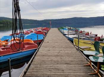 Tocht Stappen Nickenich - Promenade autour du Laacher See - Photo