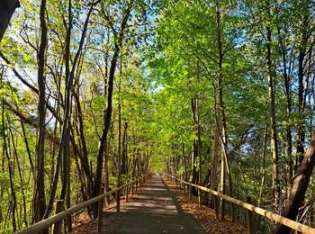Excursión Bicicleta Spa - Spa to Trois-Ponts by bike along the RAVeL  - Photo