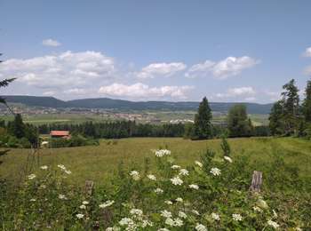 Trail Walking  - les fournets  - Photo