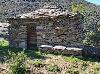 Trail Walking Olmi-Cappella - Sentier découverte de Tartagine - Photo