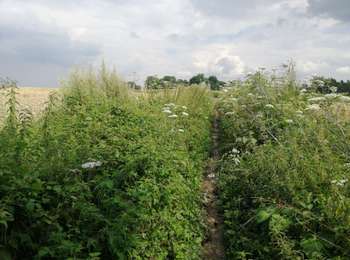 Tocht Mountainbike Court-Saint-Étienne - Petit 8 autour de Tangissart par le Ri d'Hé - Photo