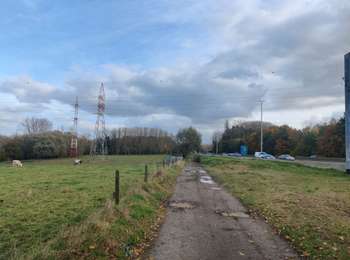 Randonnée Marche Asse - zellik et autre - Photo