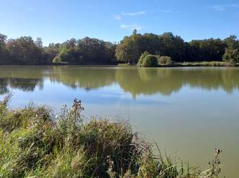 Trail Walking Domats - Domats projet 231002 - Photo