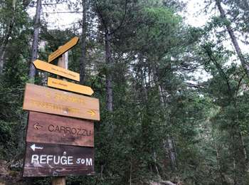 Trail Walking Calenzana - Carrozzu - Ascu Stagnu - Sa 31/07/21 - Photo