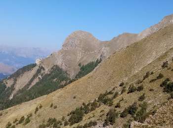Trail Walking Ancelle - Piolit - Photo