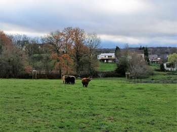 Tocht Stappen Kasteelbrakel - #201214 - Braine-le-Château, Les Monts, Les Fonds et Bruyère Landuyt - Photo