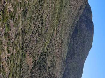 Trail Walking Ersa - tollare - Photo