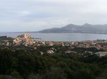 Trail Walking Calvi - Autour de Calvi - Photo