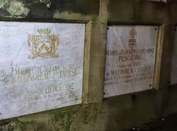 Trail On foot Luxembourg - Parcours de cross - Photo