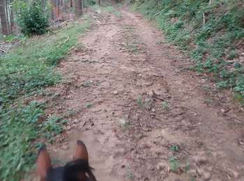 Trail Horseback riding Saint-Félicien - rochefort version longue - Photo