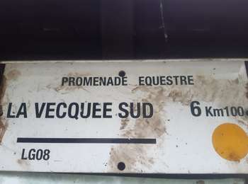 Trail Nordic walking Seraing - vecquée sud  - rond jaune  - Photo