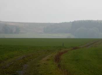 Tour Wandern Bastnach - RB-Lu-27_Lutrebois_Boucle-1 - Photo