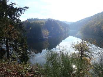 Excursión A pie La Roche-en-Ardenne - 1. Les Deux Ourthes - Photo