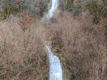 Trail Walking Lavancia-Epercy - lavancia grand serve 26-01-26 - Photo