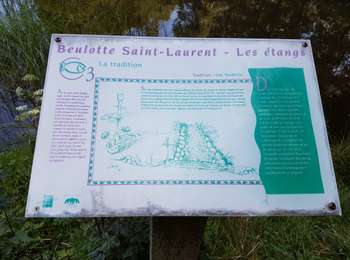 Trail Walking Beulotte-Saint-Laurent - Beulotte St Laurent - le plateau des Mille Etangs - Photo
