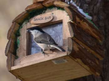 Trail Walking Trois-Ponts - 20211112 - TOTEMUS TroIS-Ponts 5.7 Km - Photo