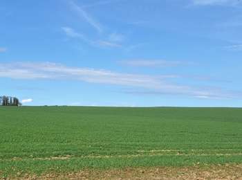 Trail Walking Waremme - Waremme ( autour de la vallée du Geer) - Photo