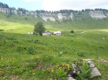 Percorso Marcia Engins - Circuit pas de la Lose, du Tracollet, de l'Ours avec un retour par le passage  de la Grande Combe - Photo