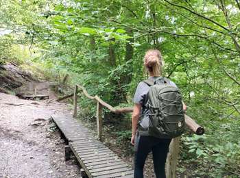 Trail Walking Pepinster - La promenade de Tribomont  - Photo