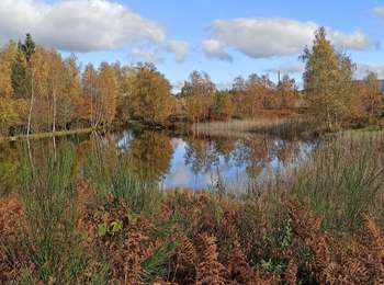 Trail Walking Servance-Miellin - 30-10-25 : reco Grilloux... bis - Photo