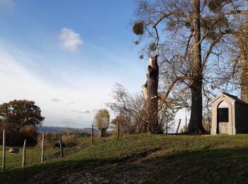 Trail Walking Beyne-Heusay - C1 - Photo