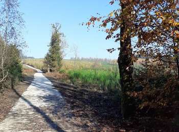 Trail Cycle Libramont-Chevigny - voie lente libramont chevigny amberloup gpx - Photo