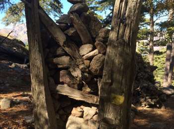Trail Walking Albertacce - Lac nino  - Photo